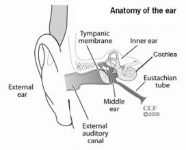 Usher Syndrome Ear