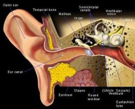 usher syndrome and hearing loss